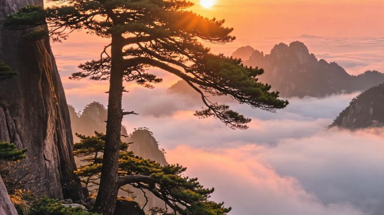 3-Day Huangshan Scenic Area + Hongcun Scenic Area. 1-night accommodation at Huangshan summit hotel, complimentary local data SIM card provided, mountain cable car tickets included