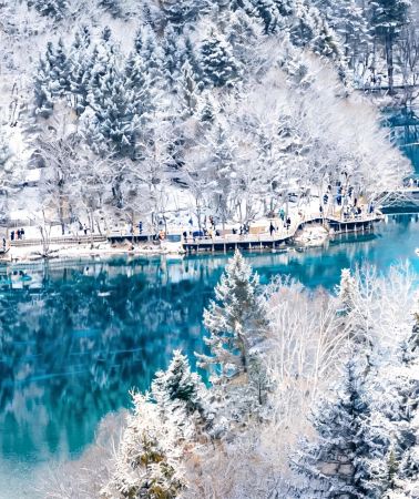 7D6N • Hilton-grade Stays & 4 UNESCO Heritage Sites · Guaranteed Jiuzhaigou Entry & Bullet-Train Tickets: Sanxingdui & Pandas - Jiuzhaigou & Huanglong - Leshan & Mount Emei