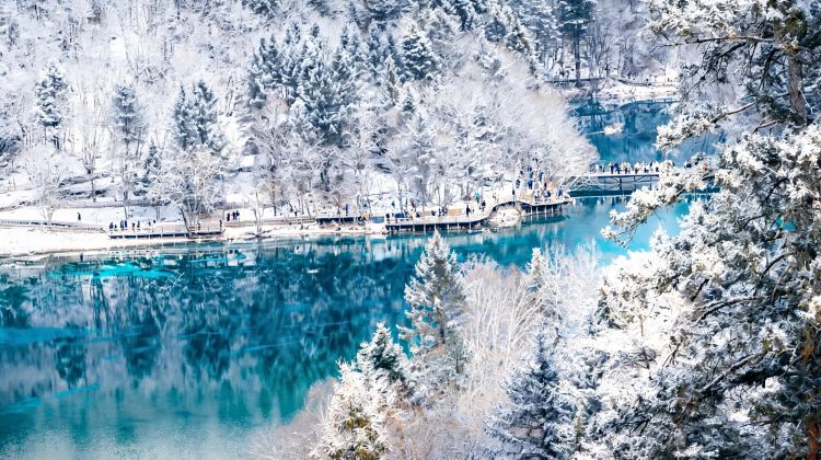 7-Day All-Inclusive 4 UNESCO Sichuan Tour: Chengdu, Panda, Jiuzhaigou, Huanglong, Leshan Giant Buddha, Mount Emei - Airport Transfer, High-Speed Rail & Full Tickets Included