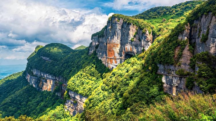 A deep dive into Jinfo Mountain, the Three Natural Bridges, and the city's heart – Fall from the grassy sea into the dazzling sea of lights at Jiefangbei