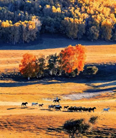 5D4N • Hulunbuir + Ergun + Manzhouli