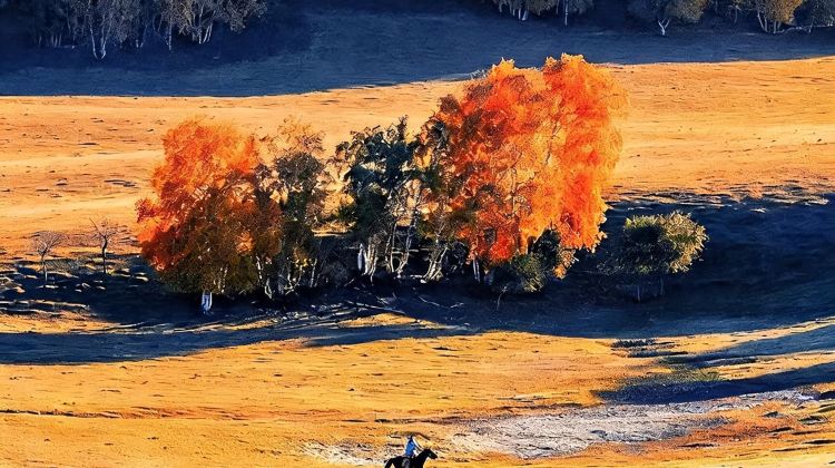 3-Day Consult for customizable itineraries + Wulanhada Volcano Geopark + Jining District + Jining Battle Memorial Hall + Huitengxile Grassland
