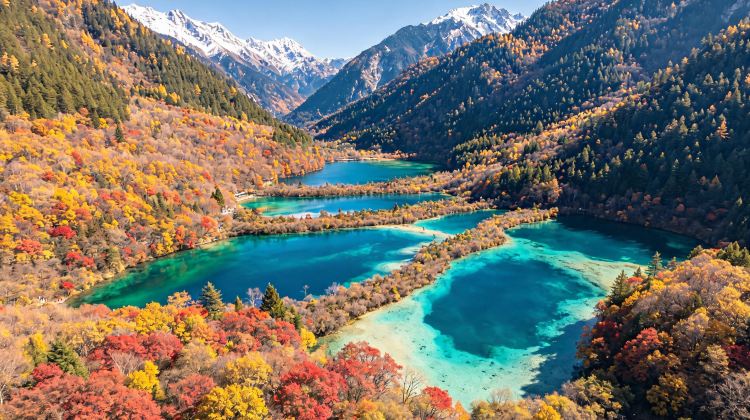 7-Day Autumn-Winter early bird- Sichuan highlights: Panda, Jiuzhaigou, Emei, Leshan, Sanxingdui. 5-star stays. Limited Golden Season Slots