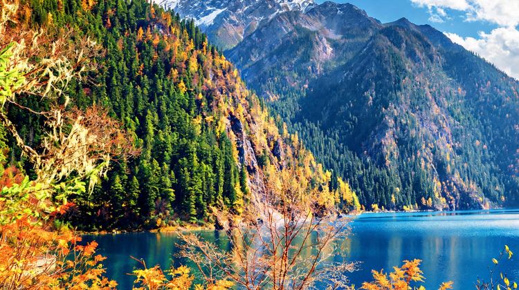 8-Day Small Group Tours: Chengdu Giant Panda Base + Jiuzhaigou + Sanxingdui Museum + Leshan + Mount Emei | 5-Diamond Hotel Stays