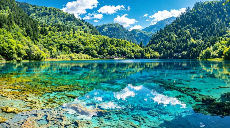 8-Day Chengdu + Jiuzhaigou + Huanglong National Scenic Area + Mount Emei + Leshan