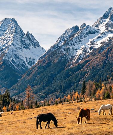 3D2N • Mount Siguniang + Yuzixi + Tagong Grassland + Gunong Village + Moshi Park Scenic Area + Honghaizi