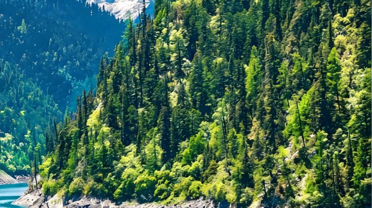 7-Day Chengdu + Jiuzhaigou + Huanglong National Scenic Area + Mount Emei + Leshan Giant Buddha