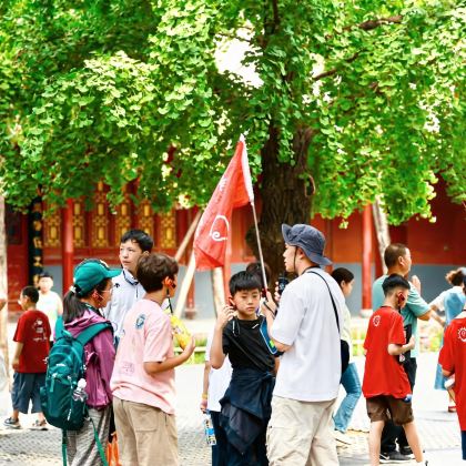 历史人文·5天4晚·【亲子营】三大古都探访，竹林七贤·观瀑云台山，世界文化遗产龙门石窟科考，夏都二里头·探寻最早的中国，唐三彩学习与体验，河南博物院寻宝记