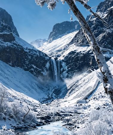 7D • Shenyang + Changbai Mountain + Yanji + Xuexiang National Forest Park + Harbin