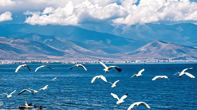 10D9N · Private Tours · 10-day private tour of classic routes  &  Kunming + Dali City + Lijiang + Shangri-La + Lugu lake + Yulong Snow Mountain + Bai ethnic three-course tea 