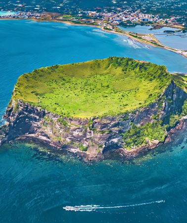 6D5N • South Korea + Jeju Island: Visit Seongsan Ilchulbong, boat to Udo, explore Teddy Bear Safari, Camellia Hill, Shinhwa World, and watch sunset at Aewol-eup