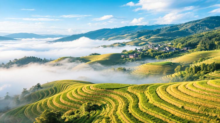 5-Day Guilin's Gem: Yangshuo & Longji Rice Terraces includes cableway + Impression Sanjie Liu nightshow | Sheraton Guilin Hotel 3 nights