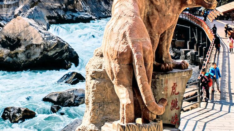 6-Day Yunnan Group Tours: Lijiang + Dali + Shangri-La + Jade Dragon Snow Mountain
