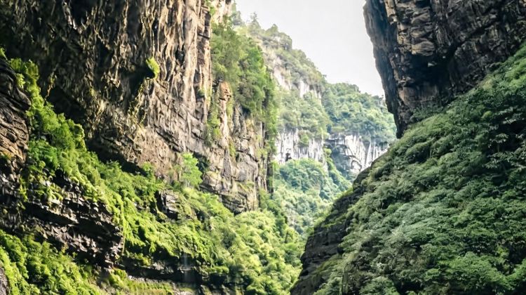 9-Day Click ASK & CUSTOMIZE for adjustable itinerary - From Chongqing to Chengdu: Panda + 4 UNESCO Wonders - Jiuzhaigou, Huanglong & Wulong, Fairy Mountain & Dujiangyan, Mt Qingcheng