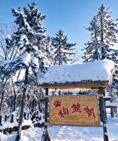8D7N • Harbin + Mudanjiang + Yanji + Changbai Mountain