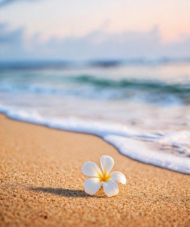 7日6晚 • 美國：夏威夷歐胡島，檀香山，夏威夷島