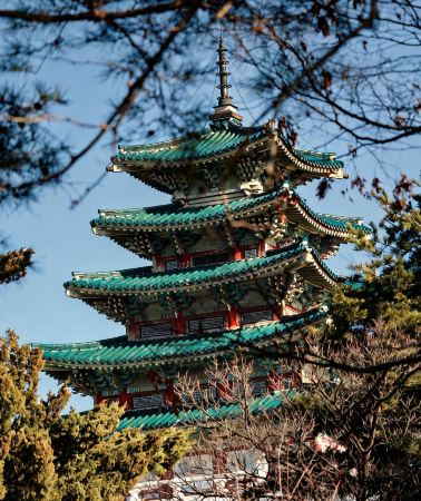 6D5N • Seoul's Classic Gyeongbokgung Palace Route·Experience the Charm of Historical Culture, Hotel Pickup in City Center