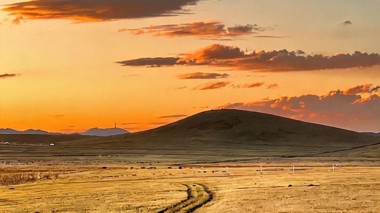 5-Day Consult for customizable itineraries + Hohhot + Huitengxile Grassland + Whistling Dune Bay
