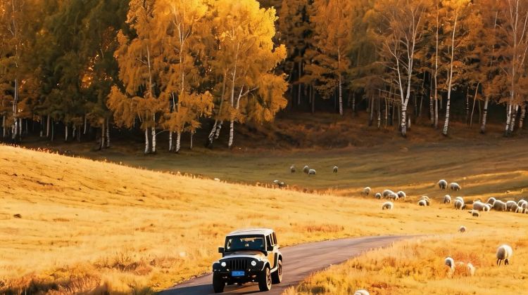 6-Day Consult for customizable itineraries + Beijing + Inner Mongoliagrasslands, deserts, volcanoes, and historical sites.