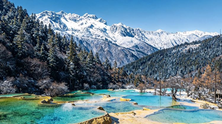 5-Day Trip Select · Autumn & Winter Sichuan Luxury: Pandas, Jiuzhaigou & Huanglong · Full IHG Brand Hotels Experience · VIP Lounge Access