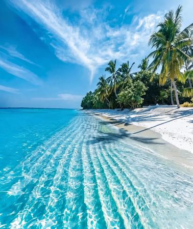 6D5N • Tropical Christmas escape in Hainan - Haikou · Wenchang · Sanya multi-city tour · 3 nights in Haikou and 2 nights in Sanya · Wuzhizhou Island · optional private car