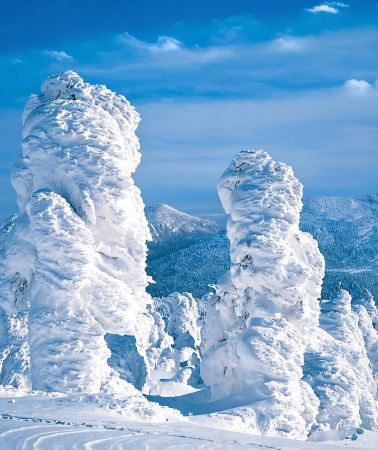 4D3N • Frost-covered Trees in Zaō Mountains + Nikka Whisky Sendai Factory