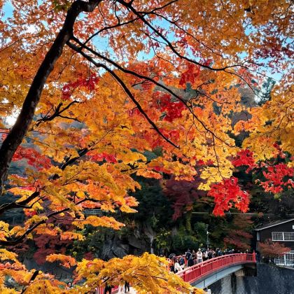 日本名古屋+下吕市+白川乡+金泽+福井市+京都+奈良市+大阪9日8晚私家团
