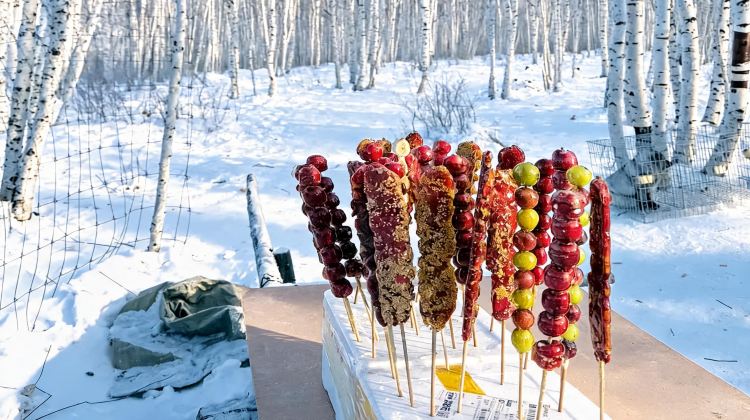 3-Day 8-Person Small Group · Mohe. Get Themed Costume Photo-shoot & Water-Splash-to-Ice Activity on Inquiry. Arctic Village, a Snow-covered Secret Land + Mohe, the Northernmost Land.