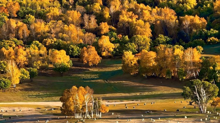 6-Day Consult for customizable itineraries + Beijing + Inner Mongoliagrasslands, deserts, volcanoes, and historical sites.
