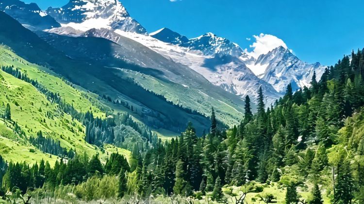 6-Day Autumn-Winter Early Bird Special: Explore Chengdu + Four Girls Mountain + Bìpénggōu + Huanglong National Scenic Area + Jiuzhaigou National Park