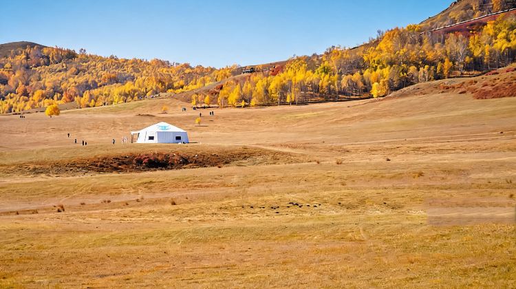5-Day Consult for customizable itineraries + Hohhot + Huitengxile Grassland + Whistling Dune Bay