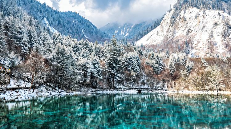 6-Day Autumn & Winter Alpine Wonderland with Guaranteed Entry & Train Tickets: Jiuzhaigou, Huanglong, Panda Valley, Dujiangyan & Chengdu City - Airport Transfer Included
