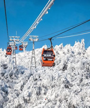 7D6N • Winter wonderland in Sichuan: 2-day in-depth Xiling Snow Mountain with in-resort overnight stay, panda & Dujiangyan - airport transfer included