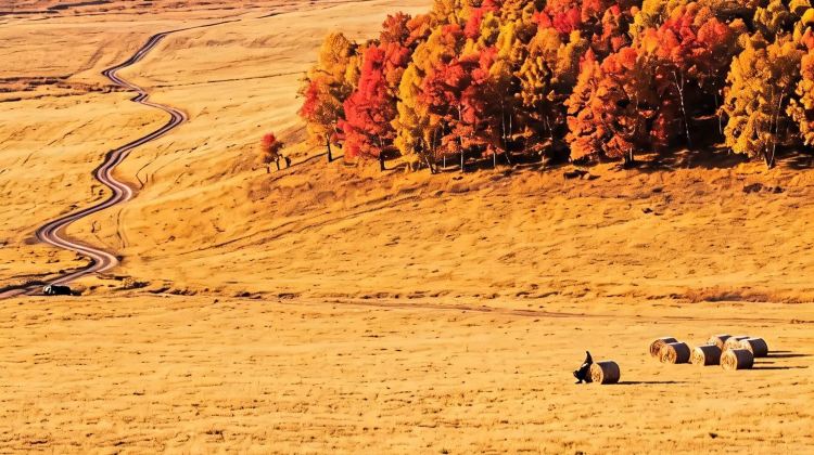 3-Day Consult for customizable itineraries + Wulanhada Volcano Geopark + Jining District + Jining Battle Memorial Hall + Huitengxile Grassland