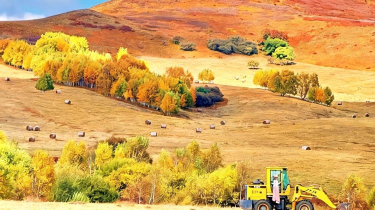 5-Day Consult for customizable itineraries + Hohhot + Huitengxile Grassland + Whistling Dune Bay