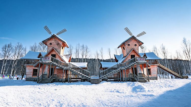 5-Day 8-person small group · Mohe, themed costume photoshoot & water-splashing freezing activity. Snow Train round-trip soft sleeper: Arctic Village, Ice and Snow World