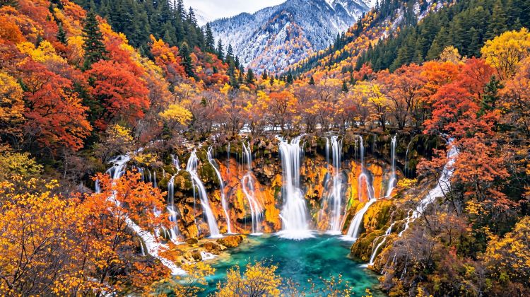 7-Day Autumn-Winter Early Bird- Sichuan Highlights: Panda, Jiuzhaigou, Emei, Leshan, Sanxingdui. 5-Star Stays. Limited Golden Season Slots.