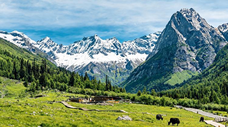 6-Day Autumn-Winter Early Bird Special: Explore Chengdu + Four Girls Mountain + Bìpénggōu + Huanglong National Scenic Area + Jiuzhaigou National Park
