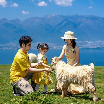 云南昆明+丽江+大理市6日5晚私家团