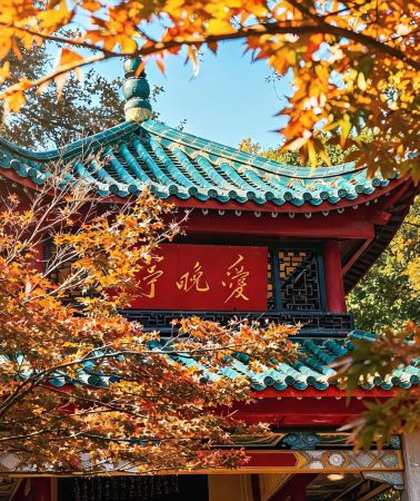 4天3晚 • 贈送茶顏悅色「長沙人文深度·導遊1對1帶隊」韶山＋花明樓＋橘子洲＋嶽麓書院＋愛晚亭＋湖南省博物院·馬王堆漢墓