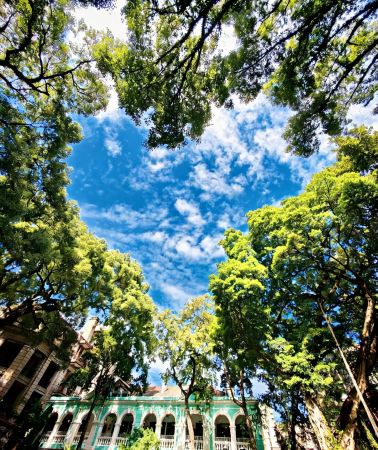 8D7N • Discover Shenzhen, Shunde & Yingxi: Intangible Heritage, Almond Biscuit DIY, Xinhui Chenpi - All with a Free Custom Itinerary
