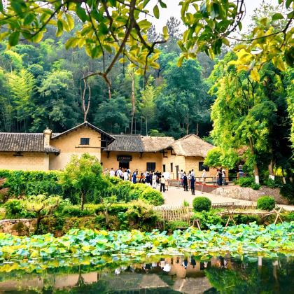 长沙+韶山+张家界+天门山+凤凰古城5日4晚跟团游