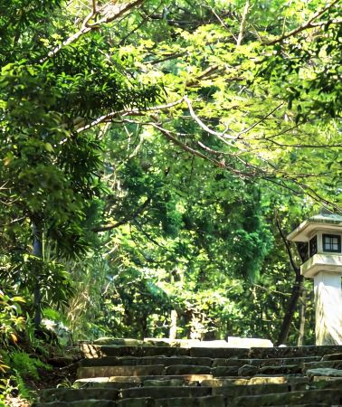 3天2晚 • 和歌山・白濱・熊野古道・高野山｜海鮮饗宴＆世界遺產朝聖＆海景溫泉