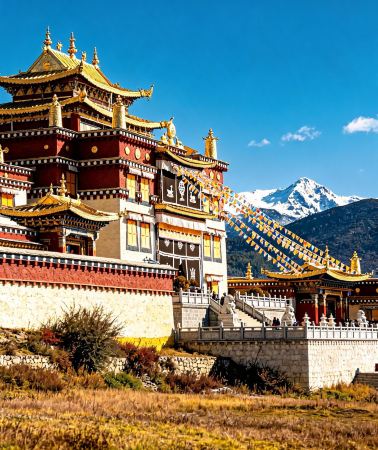 8天7晚 • 麗江＋大理市＋香格里拉＋瀘沽湖｜玉龍雪山＆瀘沽湖觀景台＆女神灣觀賞落日餘暉＆豬槽船遊湖＆洱海遊船＆普達措國家公園