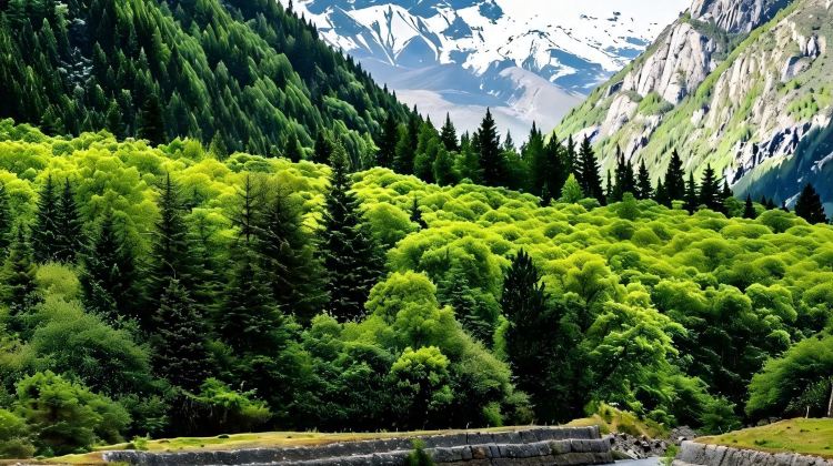6-Day Autumn-Winter Early Bird Special: Explore Chengdu + Four Girls Mountain + Bìpénggōu + Huanglong National Scenic Area + Jiuzhaigou National Park