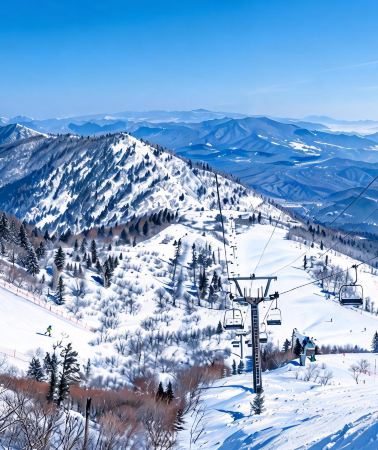 3D2N • Harbin + Xuexiang National Forest Park