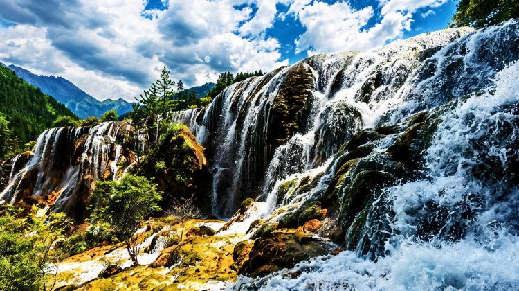 8-Day Small Group Tours: Chengdu Giant Panda Base + Jiuzhaigou + Sanxingdui Museum + Leshan + Mount Emei | 5-Diamond Hotel Stays