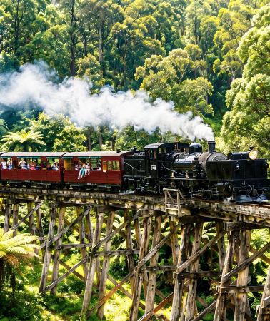 8D7N • Australia Melbourne with Great Ocean Road+Puffing Billy train+Penguin Parade
