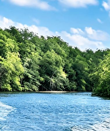 2D1N • Indonesia Bintan Island: Sebong River mangrove eco cruise: river wildlife spotting & wetland ecology briefing & riverside sunset viewing