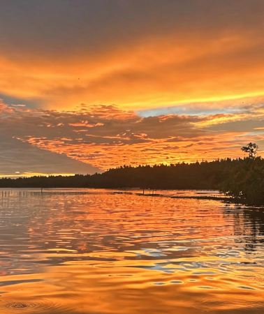 3D2N • Indonesia Bintan Island: Sebong River Mangrove Eco Cruise + River Wildlife Spotting + Wetland Ecology Briefing + Riverside Sunset Viewing